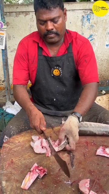 KASIMEDU SPEED SELVAM SHEELA BARRACUDA FISH CUTTING VIDEO #kasimeduselvam #shorts #bigfishcutting смотреть онлайн