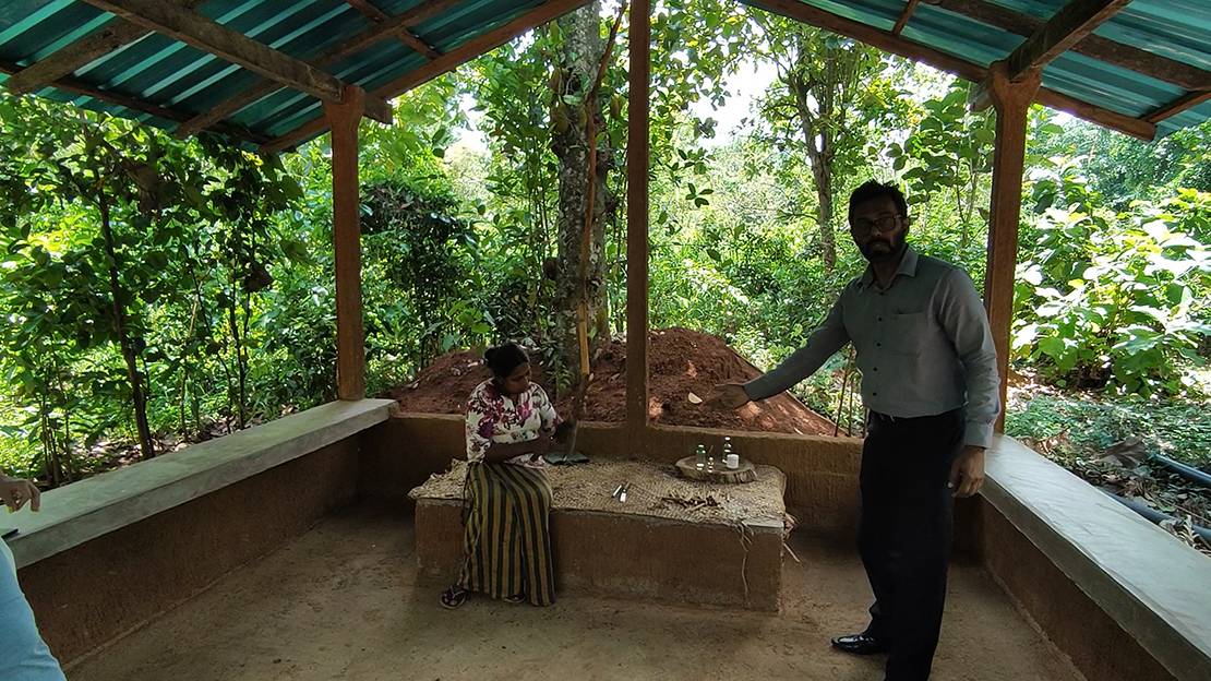 ШРИ ЛАНКА ДВУХДНЕВНАЯ ЭКСКУРСИЯ БОТАНИЧЕСКИЙ САД смотреть онлайн