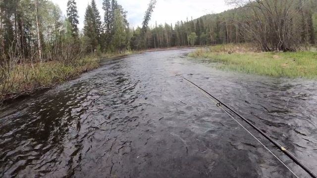 Kuusinkijoki, хариус, Володя! смотреть онлайн