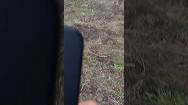 17 января 2022 г. смотреть онлайн