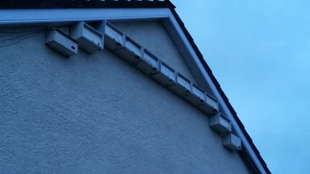Swifts 2015 - night time banger смотреть онлайн
