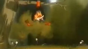 1975 год На лесной тропе