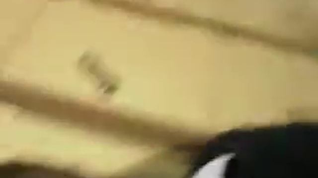 Rape the Camera смотреть онлайн
