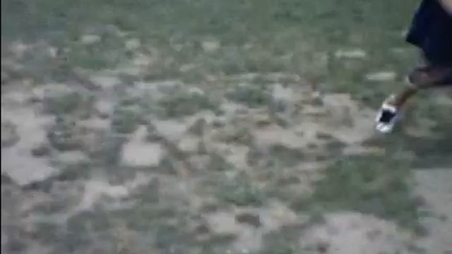 The giant hornet смотреть онлайн