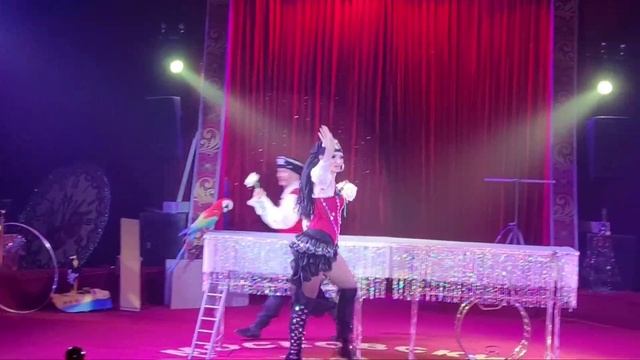 Шок видео.Шоупопугаев! Пираты.Отрывок работы. смотреть онлайн