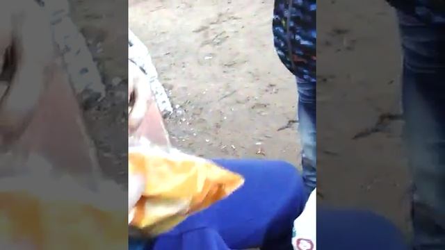 Покупка из фикс прайса