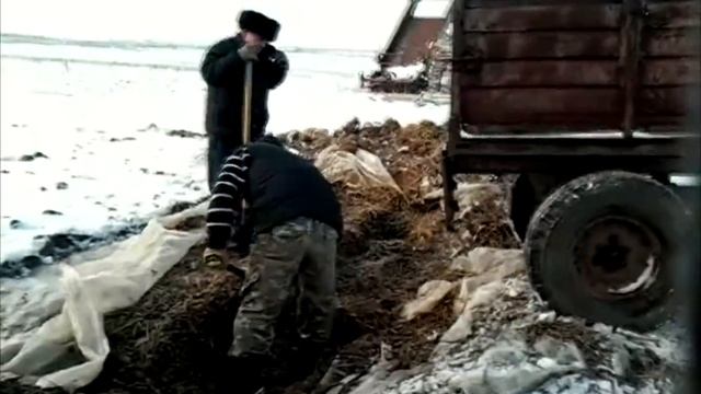 Силос.Погрузка силоса