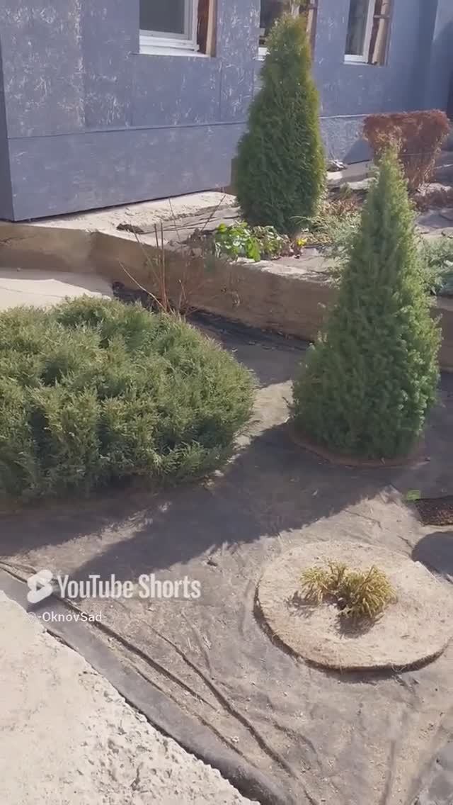 Весенняя Уборка Сада. #домашнийвлог #сад #уборка #хвойные #садовыйинструмент #инструмент