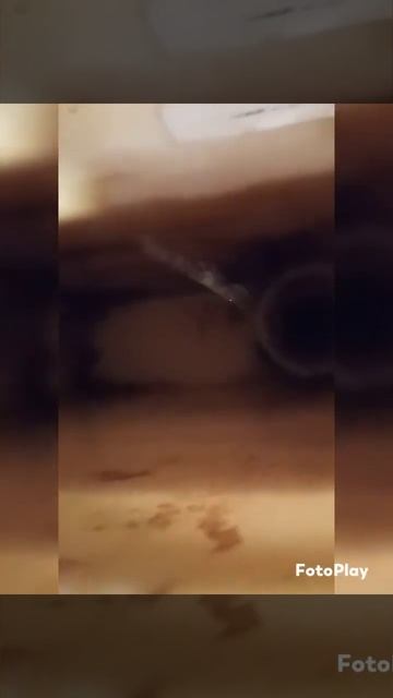 Co kryje się w spłuczce podtynkowej? смотреть онлайн