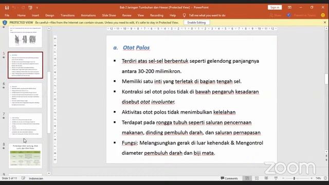 Presentasi Kelompok Kelas 11 IPA 3 Jaringan Hewan смотреть онлайн