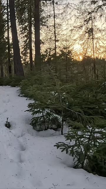 Всем с добрым утром хорошего дня смотреть онлайн