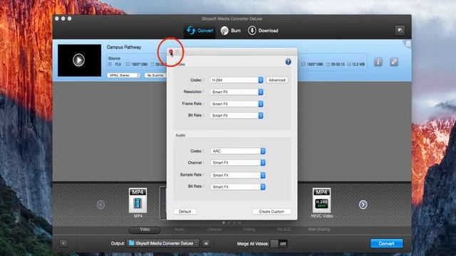 iSkysoft iMedia Converter Deluxe- FLV to QuickTime MOV смотреть онлайн