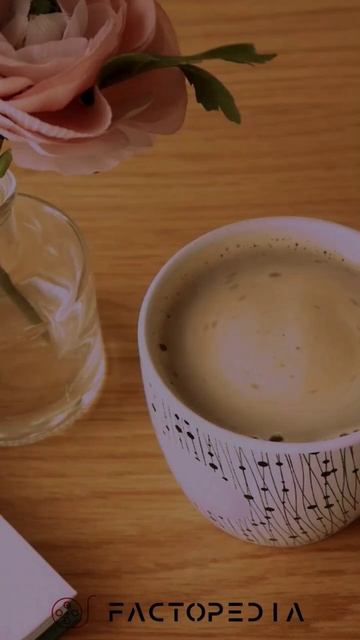 Interesting Facts About Coffee ☕ #coffee #facts #youtubeshorts смотреть онлайн