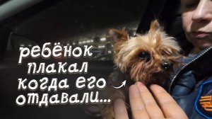 Вы обещали заботиться обо мне, а теперь просто бросаете...