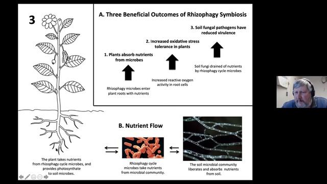 microBIOMETER Webinar with Dr. James White - Rhizophagy смотреть онлайн