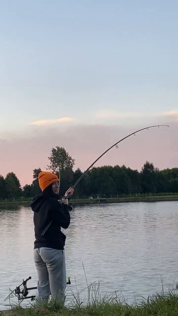 Karp agresor смотреть онлайн