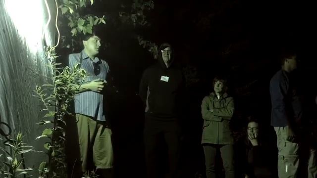 Moth Man lures moths смотреть онлайн