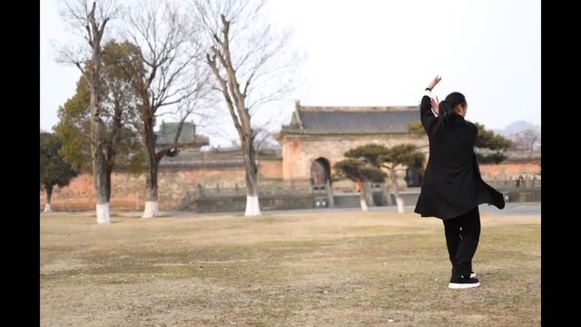 Wudang : Ba Gua zhang with Master Lin #2 смотреть онлайн