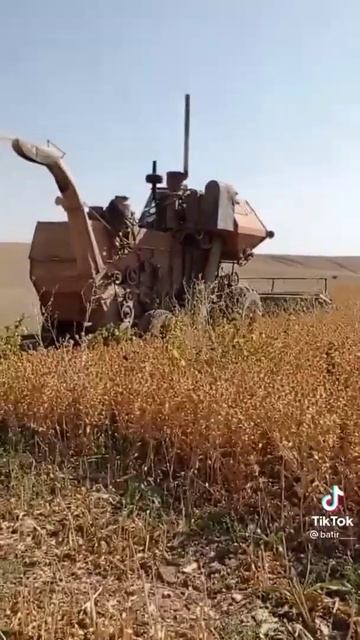 нива ск 5 уборка пшеницы смотреть онлайн