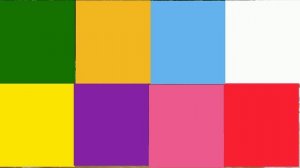 Animals. What wild animal is it？