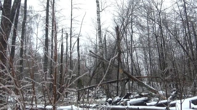8. 12. 21 Саров. Обед в лесу. смотреть онлайн
