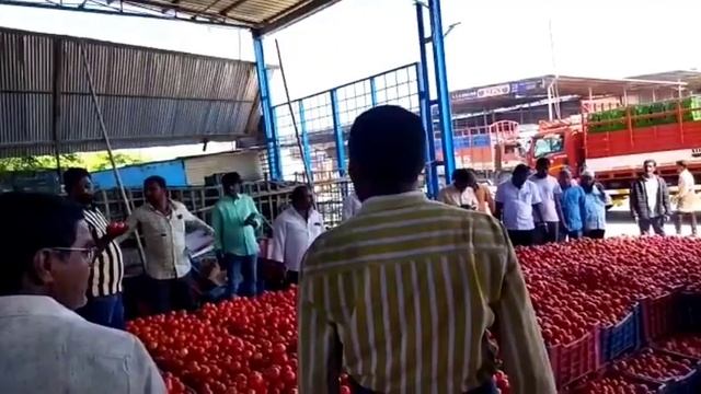 10-04-23 Madanapalle Tomato Market price Today || Today Tomato Market Rate in Madanapalle #today смотреть онлайн