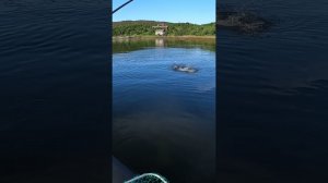 Первая рыба рыбака