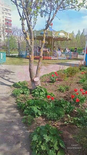 Цветущий Таганрог, парад тюльпанов. смотреть онлайн