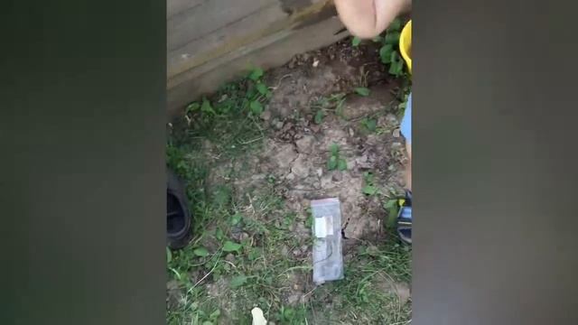 Непецино смотреть онлайн