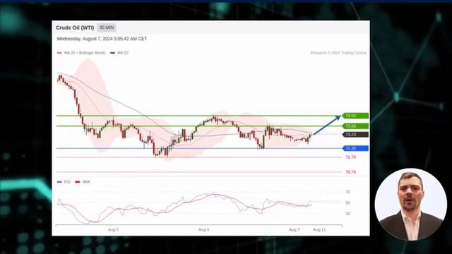 Stock market - WTI Crude Oil Analysis on 08/07/2024 - Awaiting EIA weekly report смотреть онлайн