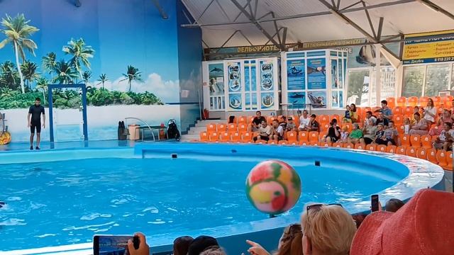 💚Дельфинарий💚 смотреть онлайн