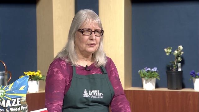 Spring Garden Maintenance смотреть онлайн