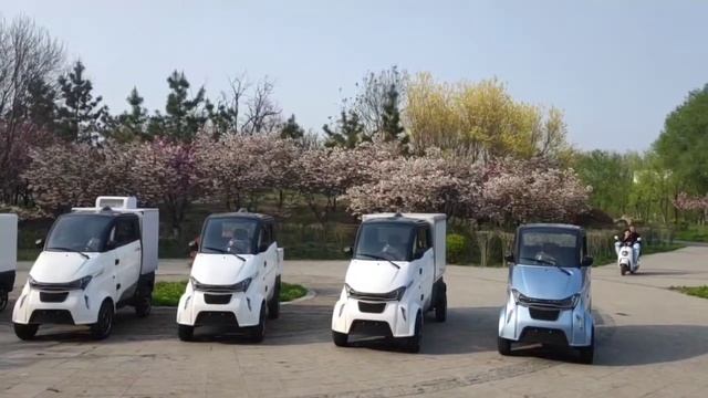 Low speed electric vehicles with EEC certificate. смотреть онлайн