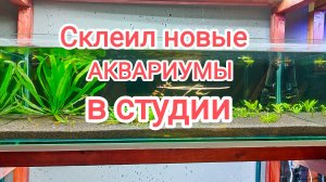 Склеил новые аквариумы в будущей аквариумной студии.