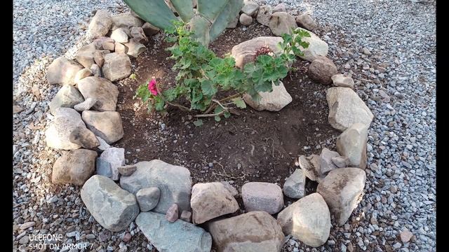 ( Ruta 40 Argentina v11) Entre amigos, Vasco, Marta e Hugo, Hostel Waira, Tilcara. смотреть онлайн