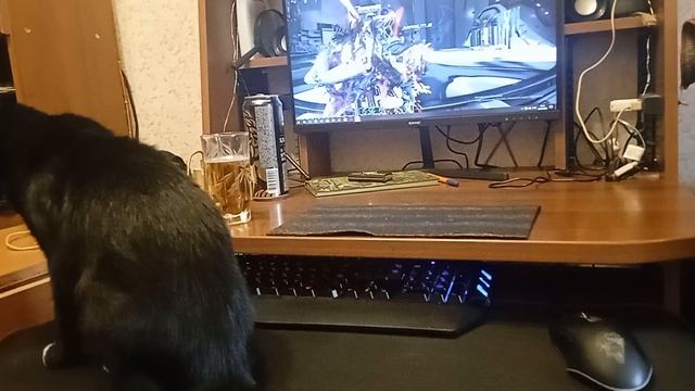 Игровая  кошка!)