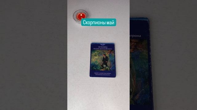 таро прогноз СКОРПИОНЫ на май #таропрогноз #май2024 #скорпион смотреть онлайн