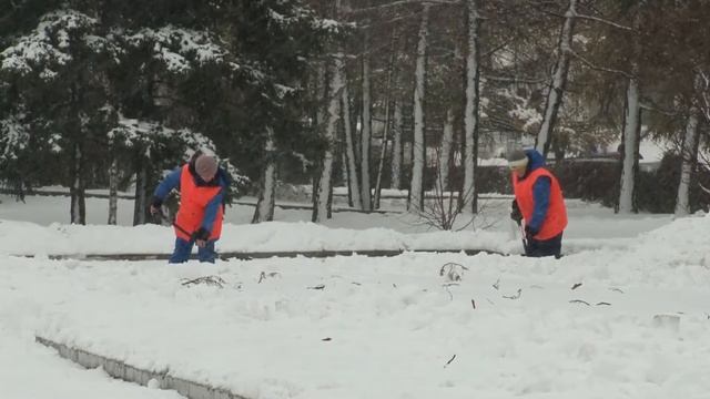О чем пишут издания «Сибирской медиагруппы» — обзор 30.01.2019 смотреть онлайн