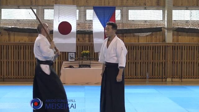 7 Aikido Tachidori Kokyonage Tobi Ukemi Shishiya Sensei, Horice 2016