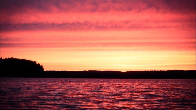 Kalle Kreilight - Saimaa Ringed Seal смотреть онлайн
