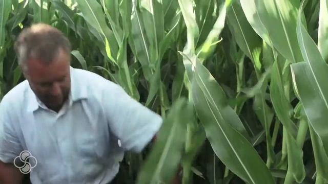 Bio-Forge® helps overcome Texas Stress Conditions смотреть онлайн