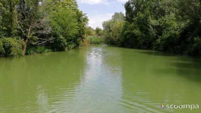 Дендропарк Шымкент смотреть онлайн