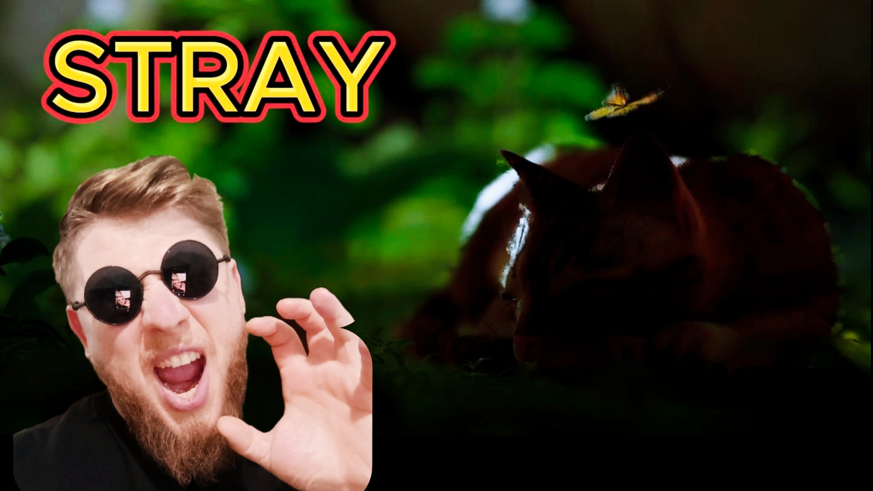 Я СТАЛ КОТИКОМ!STRAY..часть 1.