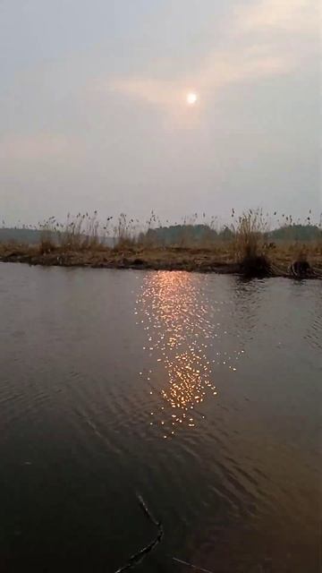 красатень