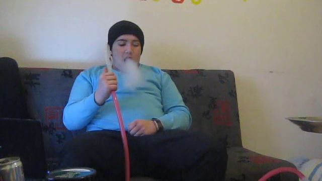 Al Waha Grape & Mint ( Traube & Minze )