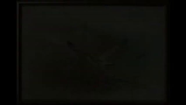 Антонюк Даниил смотреть онлайн