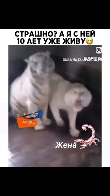 женщины они такие смотреть онлайн