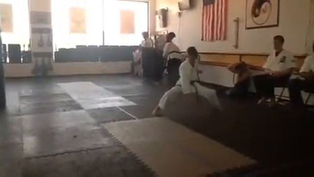 Bushido Karate Challenge 2016 Daniel Waage Kata Kihon Sono