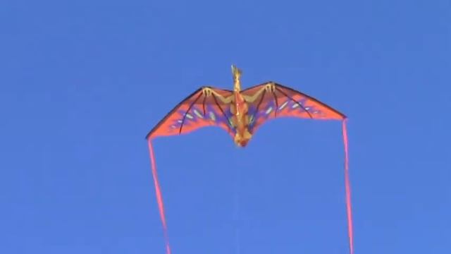 XKITES Feature Nylon 3D Fantasy Pterodactyl Kite смотреть онлайн