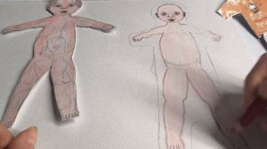 как сделать бумажного реборна